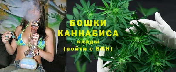 2c-b Алзамай