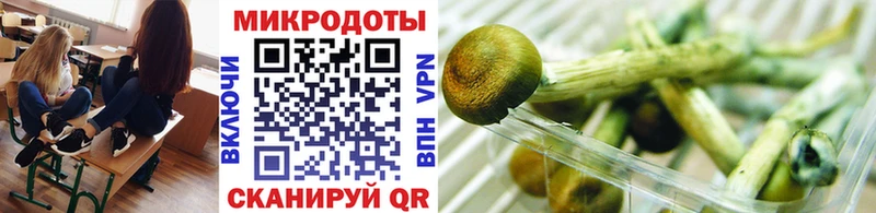 дарнет шоп  Александровское  Псилоцибиновые грибы MAGIC MUSHROOMS 